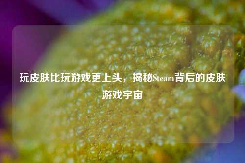 玩皮肤比玩游戏更上头，揭秘Steam背后的皮肤游戏宇宙