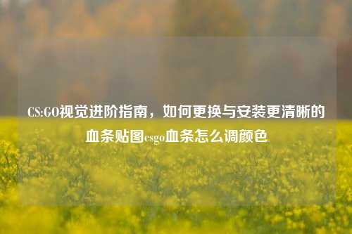CS:GO视觉进阶指南，如何更换与安装更清晰的血条贴图csgo血条怎么调颜色