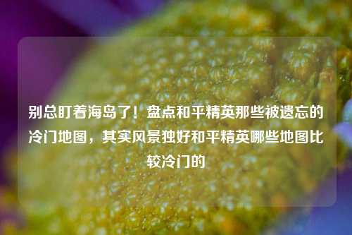 别总盯着海岛了!盘点和平精英那些被遗忘的冷门地图,其实风景独好和平精英哪些地图比较冷门的