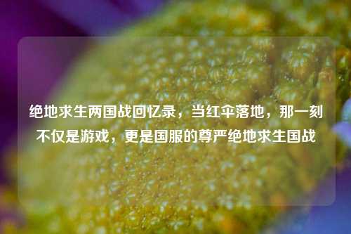 绝地求生两国战回忆录，当红伞落地，那一刻不仅是游戏，更是国服的尊严绝地求生国战