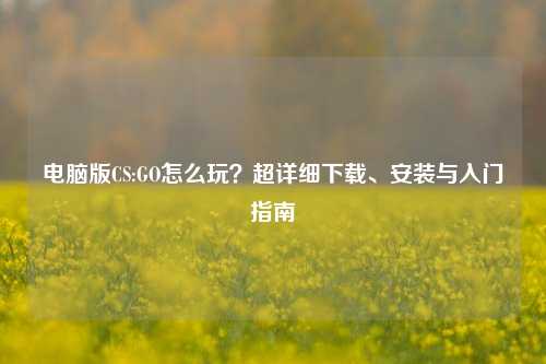 电脑版CS:GO怎么玩？超详细下载、安装与入门指南