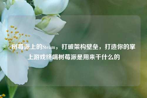 树莓派上的Steam,打破架构壁垒,打造你的掌上游戏终端树莓派是用来干什么的