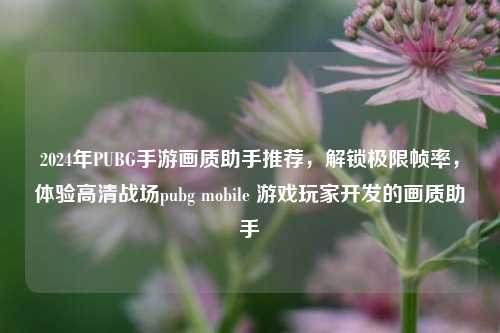 2024年PUBG手游画质助手推荐,解锁极限帧率,体验高清战场pubg mobile 游戏玩家开发的画质助手