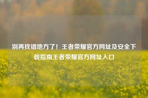 别再找错地方了!王者荣耀官方网址及安全下载指南王者荣耀官方网址入口