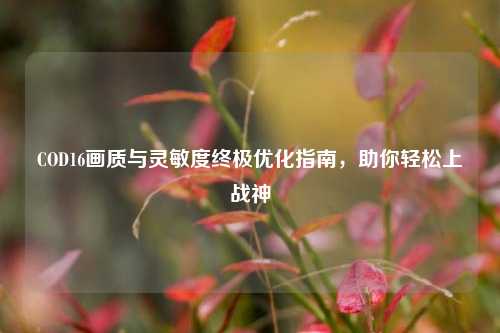 COD16画质与灵敏度终极优化指南，助你轻松上战神