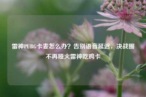 雷神PUBG卡麦怎么办?告别语音延迟,决战圈不再哑火雷神吃鸡卡