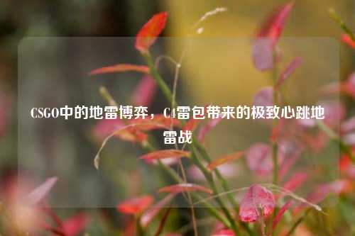 CSGO中的地雷博弈,C4雷包带来的极致心跳地雷战