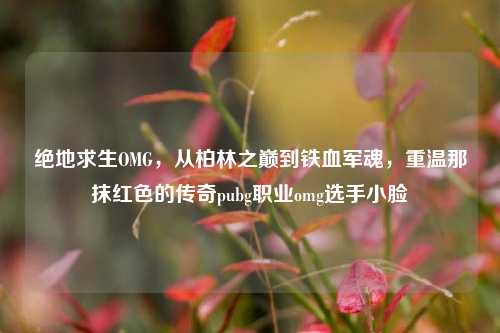 绝地求生OMG,从柏林之巅到铁血军魂,重温那抹红色的传奇pubg职业omg选手小脸