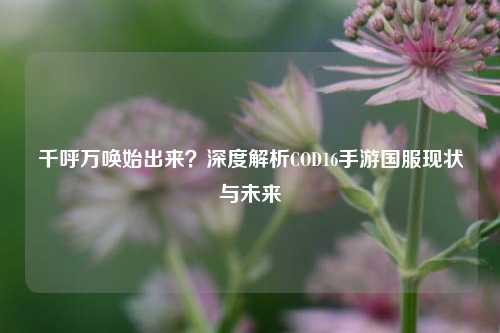 千呼万唤始出来？深度解析COD16手游国服现状与未来