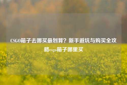 CSGO箱子去哪买最划算?新手避坑与购买全攻略csgo箱子哪里买