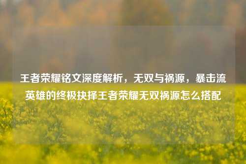 王者荣耀铭文深度解析,无双与祸源,暴击流英雄的终极抉择王者荣耀无双祸源怎么搭配