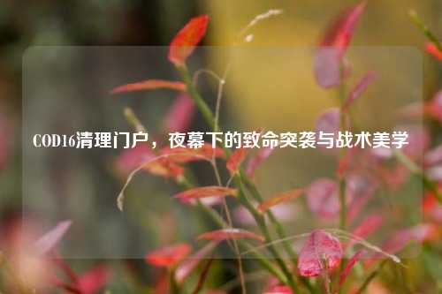 COD16清理门户，夜幕下的致命突袭与战术美学