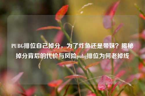 PUBG排位自己掉分,为了炸鱼还是带妹?揭秘掉分背后的代价与风险pubg排位为何老掉线
