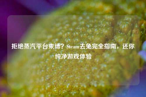 拒绝蒸汽平台束缚？Steam去兔完全指南，还你纯净游戏体验