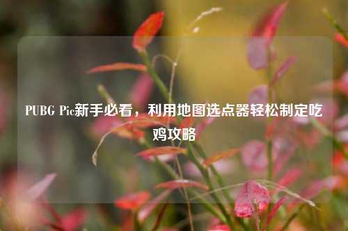 PUBG Pic新手必看,利用地图选点器轻松制定吃鸡攻略