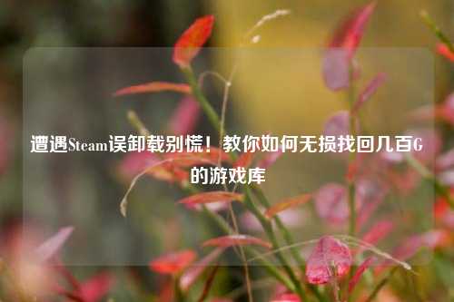 遭遇Steam误卸载别慌！教你如何无损找回几百G的游戏库