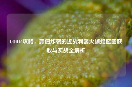 COD16攻略，颜值炸裂的近战利器火蜥蜴蓝图获取与实战全解析
