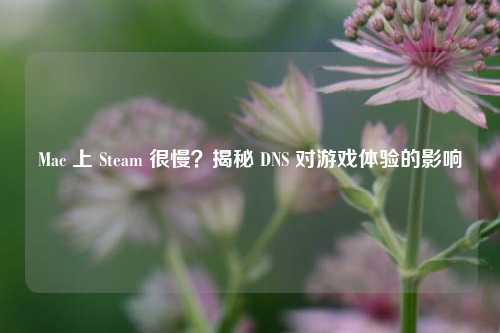 Mac 上 Steam 很慢?揭秘 DNS 对游戏体验的影响