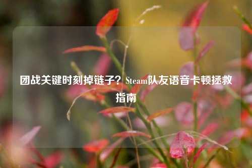 团战关键时刻掉链子？Steam队友语音卡顿拯救指南