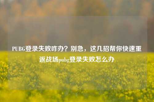PUBG登录失败咋办？别急，这几招帮你快速重返战场pubg登录失败怎么办