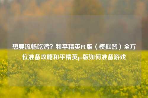 想要流畅吃鸡？和平精英PC版（模拟器）全方位准备攻略和平精英pc版如何准备游戏