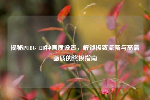 揭秘PUBG 120种画质设置，解锁极致流畅与高清画质的终极指南