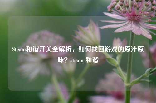 Steam和谐开关全解析，如何找回游戏的原汁原味？steam 和谐