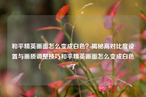 和平精英画面怎么变成白色?揭秘高对比度设置与画质调整技巧和平精英画面怎么变成白色了