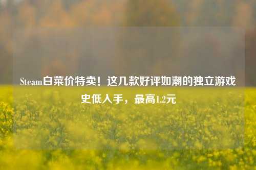 Steam白菜价特卖!这几款好评如潮的独立游戏史低入手,最高1.2元