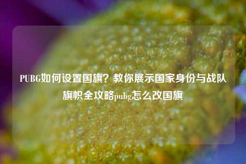 PUBG如何设置国旗？教你展示国家身份与战队旗帜全攻略pubg怎么改国旗