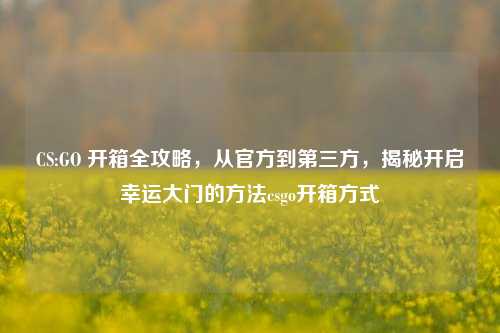 CS:GO 开箱全攻略，从官方到第三方，揭秘开启幸运大门的方法csgo开箱方式