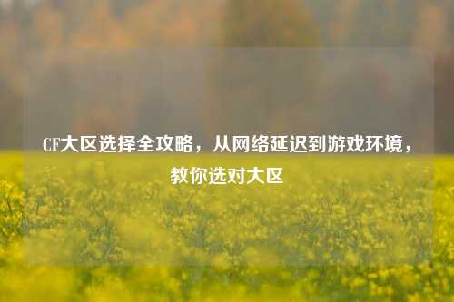 CF大区选择全攻略,从网络延迟到游戏环境,教你选对大区