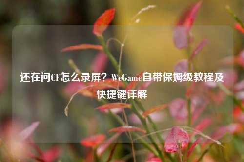 还在问CF怎么录屏？WeGame自带保姆级教程及快捷键详解