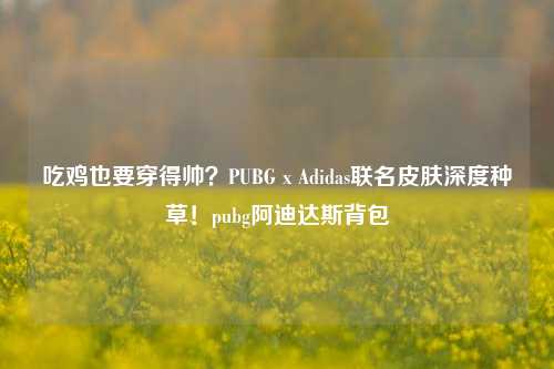 吃鸡也要穿得帅?PUBG x Adidas联名皮肤深度种草!pubg阿迪达斯背包