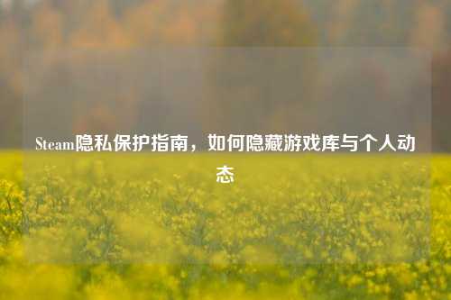 Steam隐私保护指南，如何隐藏游戏库与个人动态