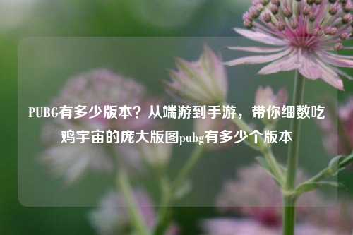 PUBG有多少版本？从端游到手游，带你细数吃鸡宇宙的庞大版图pubg有多少个版本