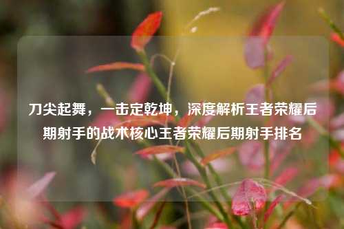 刀尖起舞，一击定乾坤，深度解析王者荣耀后期射手的战术核心王者荣耀后期射手排名