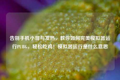 告别手机小屏与发热，教你如何完美模拟器运行PUBG，轻松吃鸡！模拟器运行是什么意思