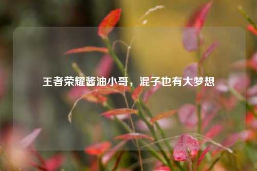 王者荣耀酱油小哥,混子也有大梦想