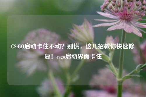 CS:GO启动卡住不动？别慌，这几招教你快速修复！csgo启动界面卡住