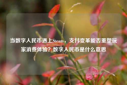 当数字人民币遇上Steam,支付变革能否重塑玩家消费体验?数字人民币是什么意思