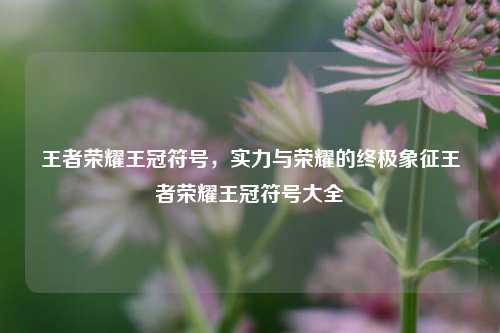 王者荣耀王冠符号，实力与荣耀的终极象征王者荣耀王冠符号大全