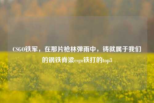 CSGO铁军，在那片枪林弹雨中，铸就属于我们的钢铁脊梁csgo铁打的top3