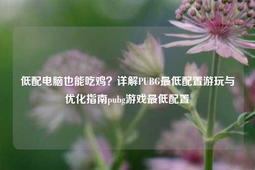 低配电脑也能吃鸡？详解PUBG最低配置游玩与优化指南pubg游戏最低配置