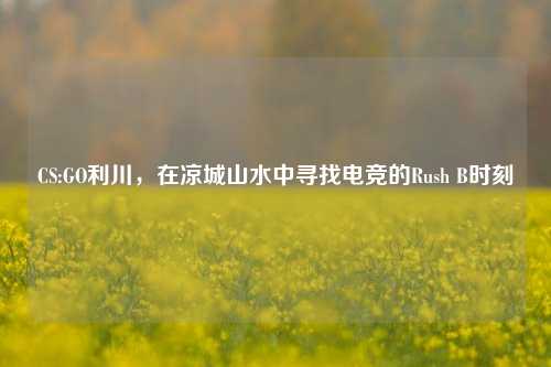 CS:GO利川,在凉城山水中寻找电竞的Rush B时刻