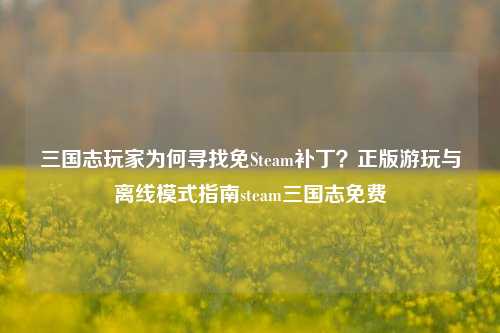 三国志玩家为何寻找免Steam补丁?正版游玩与离线模式指南steam三国志免费