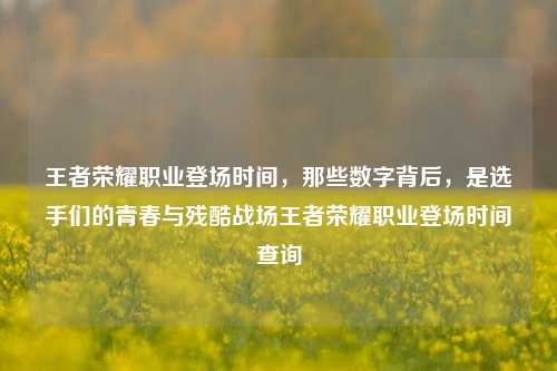 王者荣耀职业登场时间,那些数字背后,是选手们的青春与残酷战场王者荣耀职业登场时间查询