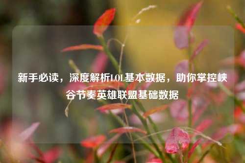 新手必读，深度解析LOL基本数据，助你掌控峡谷节奏英雄联盟基础数据