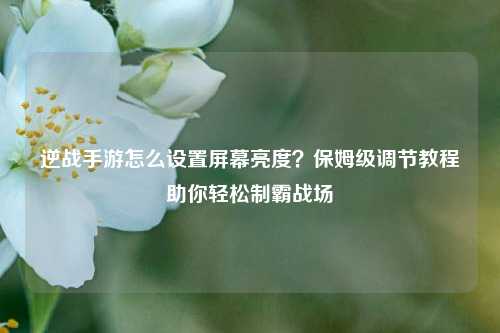 逆战手游怎么设置屏幕亮度?保姆级调节教程助你轻松制霸战场