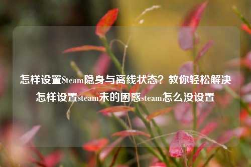 怎样设置Steam隐身与离线状态？教你轻松解决怎样设置steam未的困惑steam怎么没设置